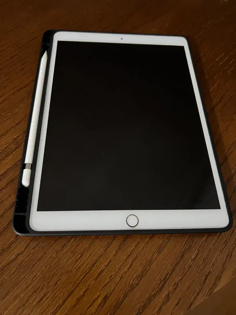 ipad pro 10.5 inch با قلم|تبلت|بجنورد, |دیوار