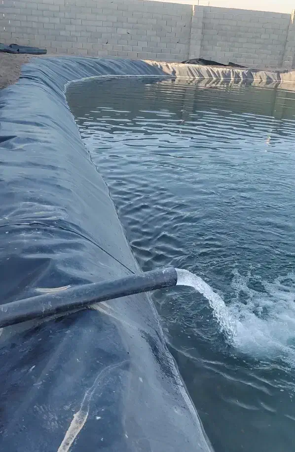 زمین اجاره برای گلخانه|اجارهٔ دفتر صنعتی، کشاورزی، تجاری|مشهد, چهاربرج|دیوار