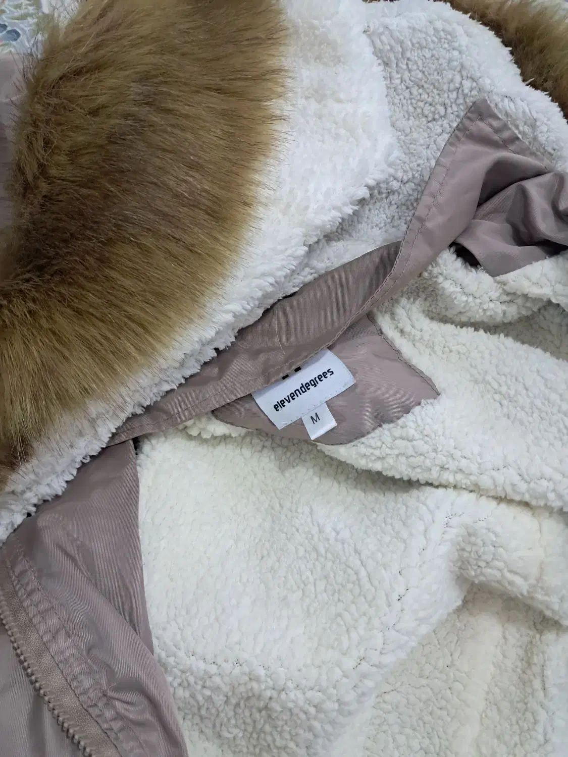 کاپشن|لباس|بروجرد, |دیوار