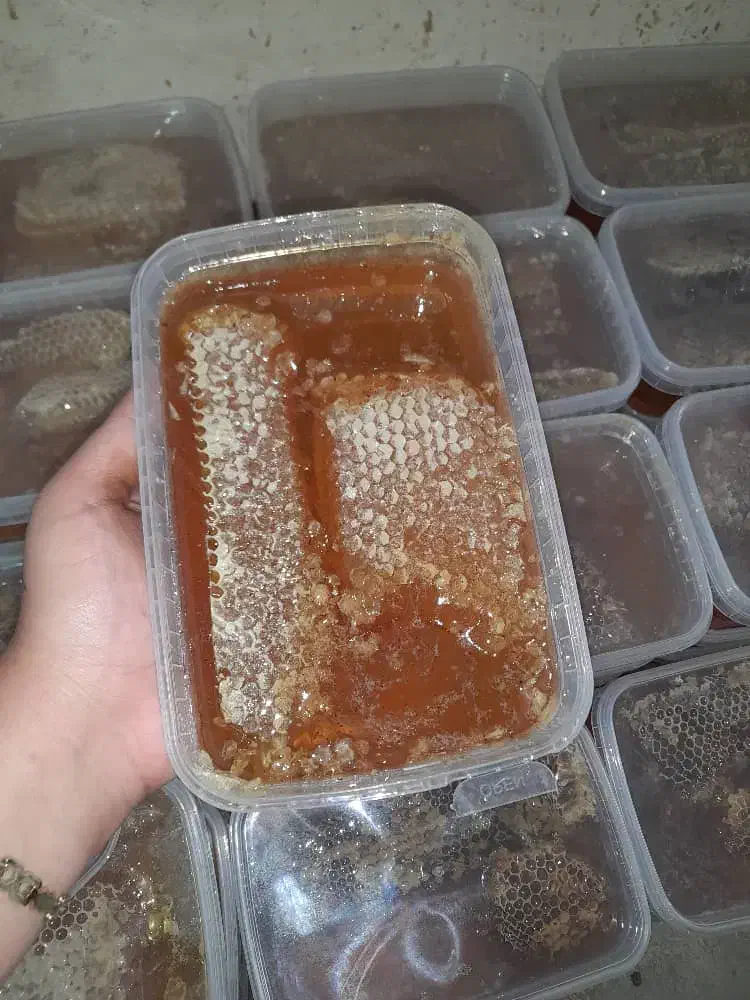 عسل درجه ۱ خوش طعم|خوردنی و آشامیدنی|تهران, جمهوری|دیوار