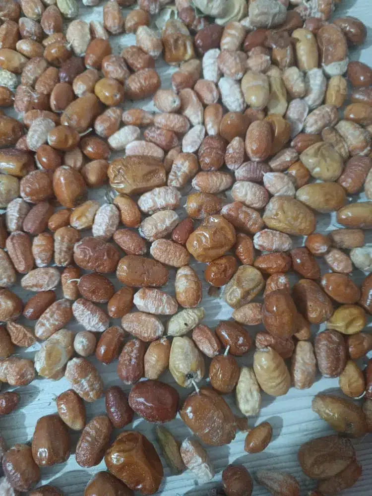 سنجد|خوردنی و آشامیدنی|تهران, بلوار کشاورز|دیوار