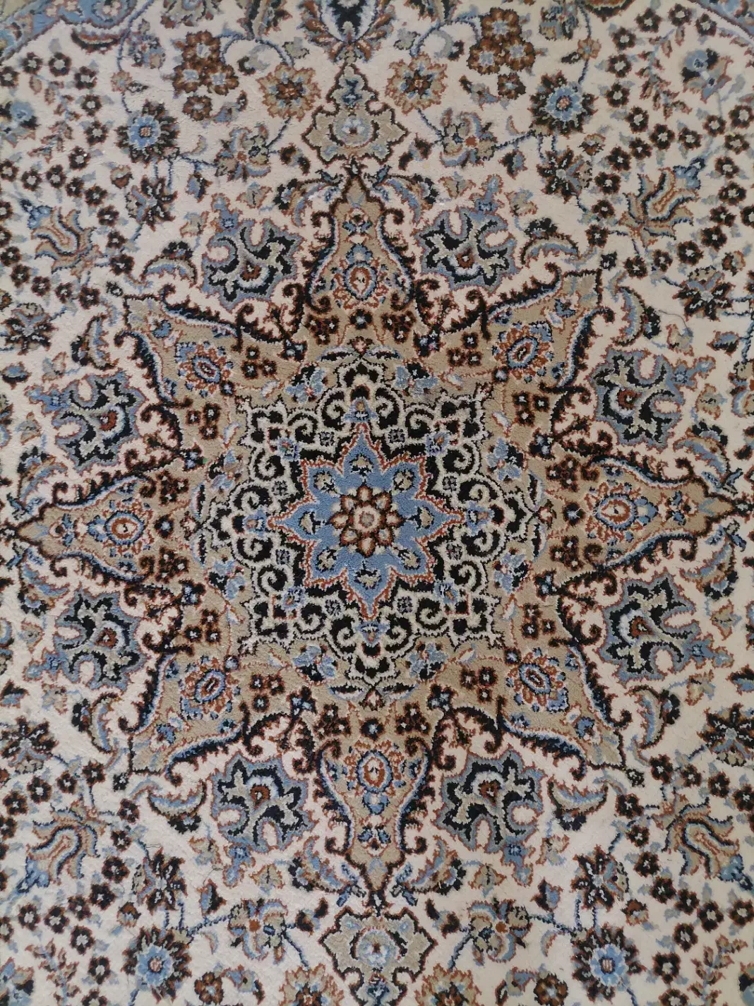 فرش|فرش|کاشمر, |دیوار