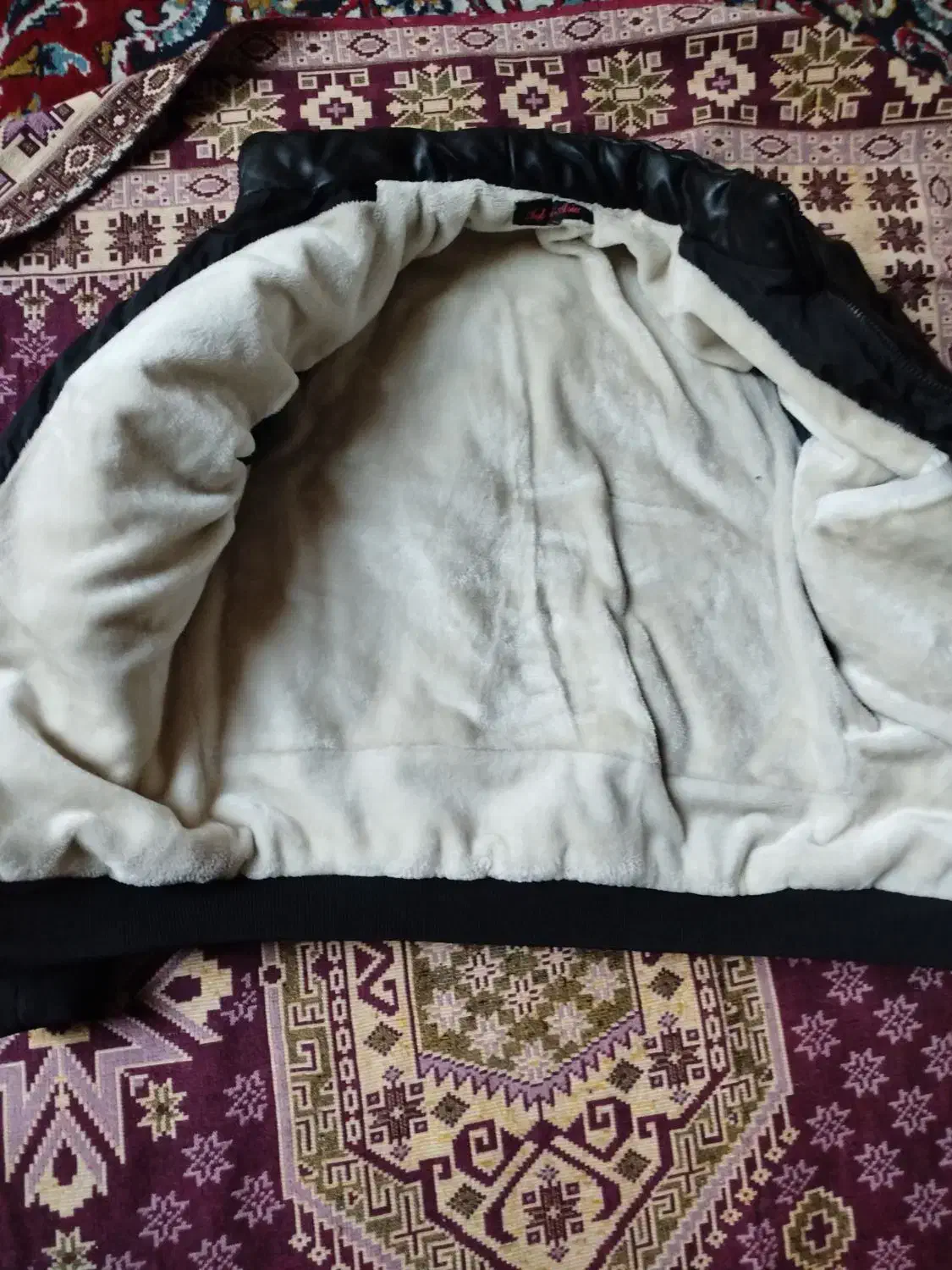 کاپشن  پسرانه و مردانه|لباس|تبریز, |دیوار