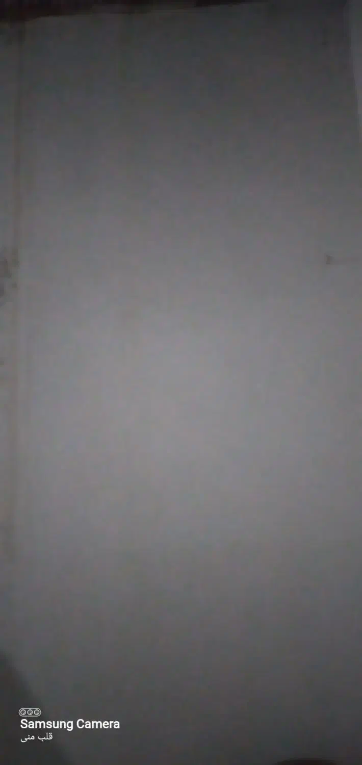 کار ساختمان سیمانکاری|استخدام معماری، عمران و ساختمانی|بندر انزلی, متروپل|دیوار