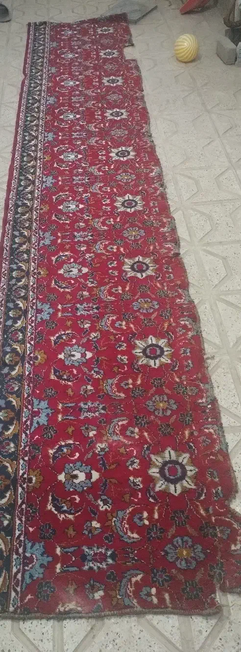 کناره|گلیم، جاجیم، گبه|مشهد, شیرحصار|دیوار