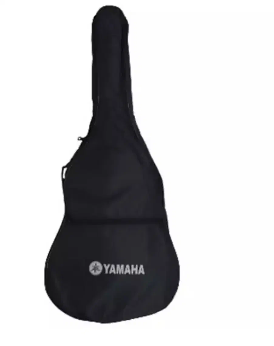 کیف گیتار|گیتار، بیس، امپلیفایر|قزوین, |دیوار