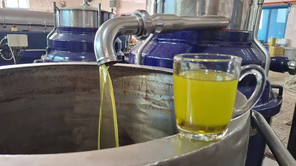 روغن زیتون 1404تولید ملی|عمدهفروشی|رشت, دباغیان|دیوار