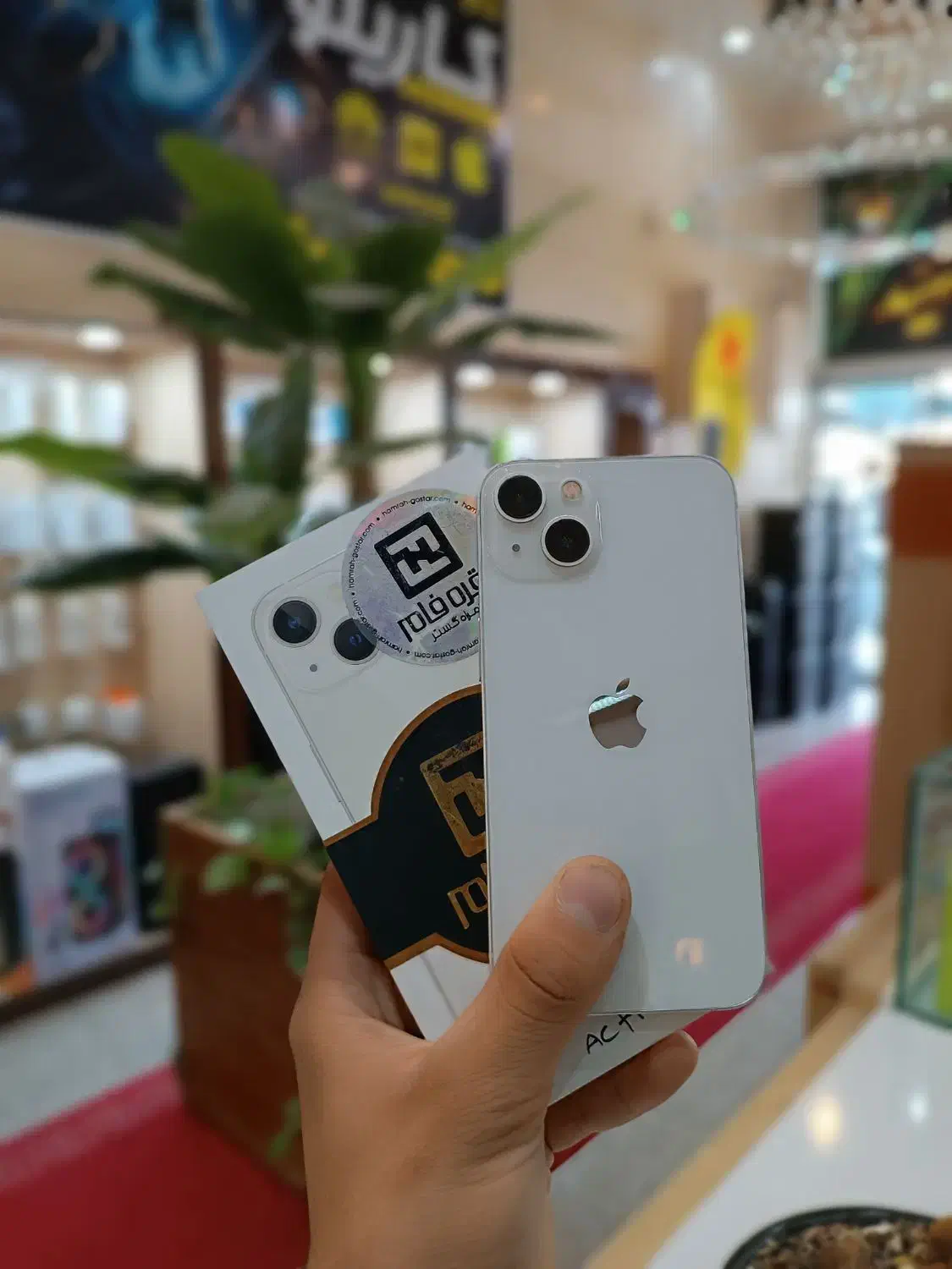 iphone 13  256 GB|موبایل|یزد, |دیوار