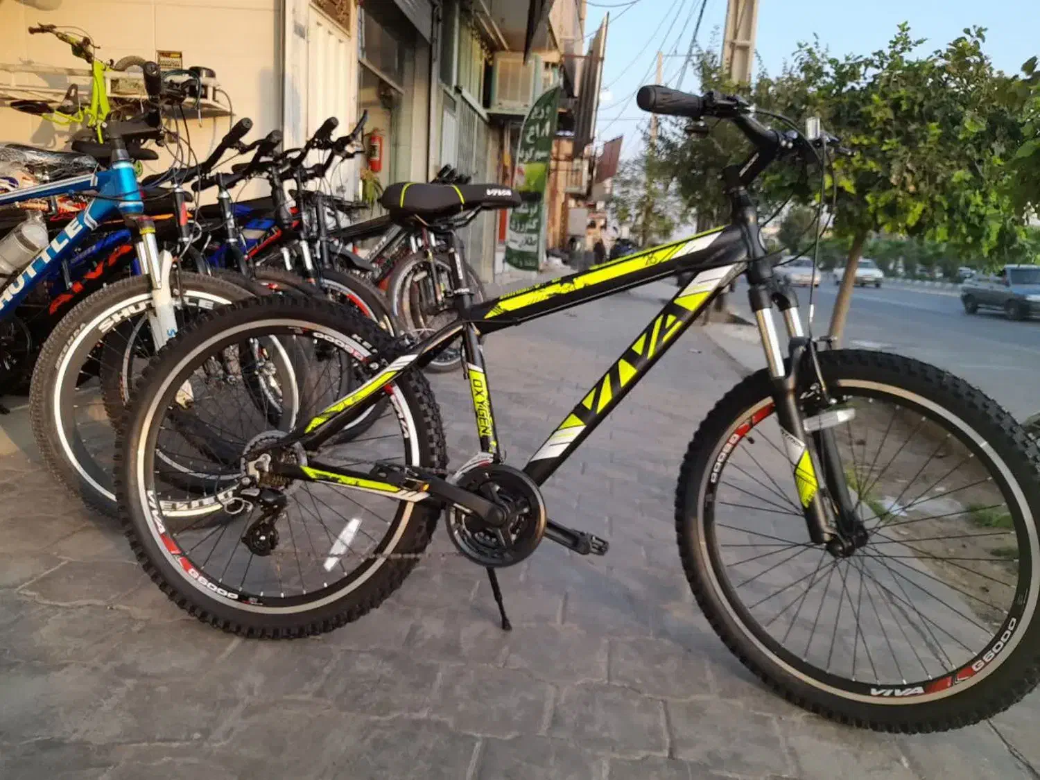 دوچــرخه ۲۶  حرفه ای   کوهستان   ویوا   اصل|دوچرخه، اسکیت، اسکوتر|یزد, |دیوار