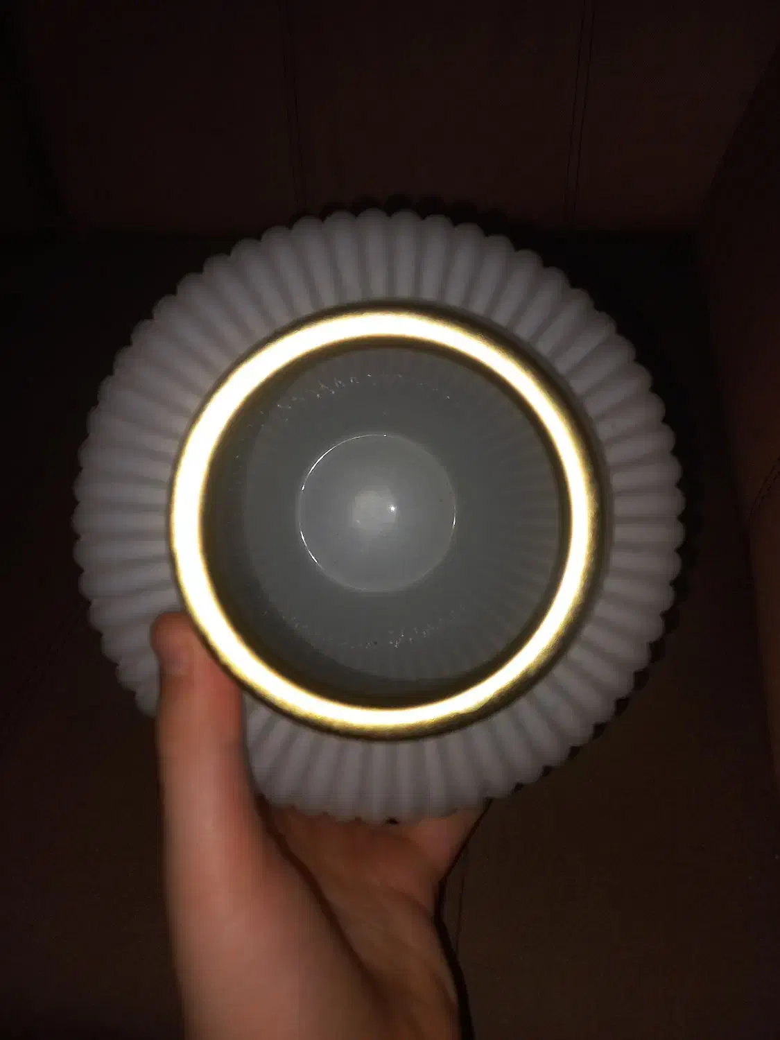 گلدان شیشه ای|گل و گیاه طبیعی|بجنورد, |دیوار