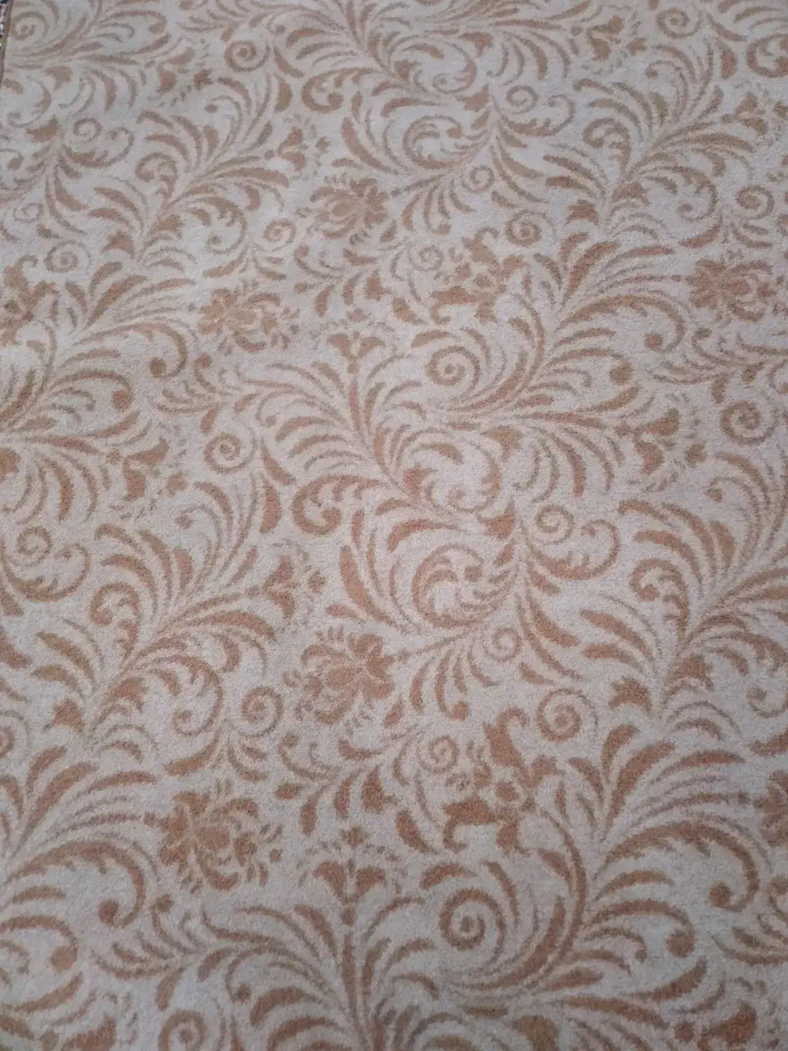 یک عدد موکت|موکت|همدان, |دیوار