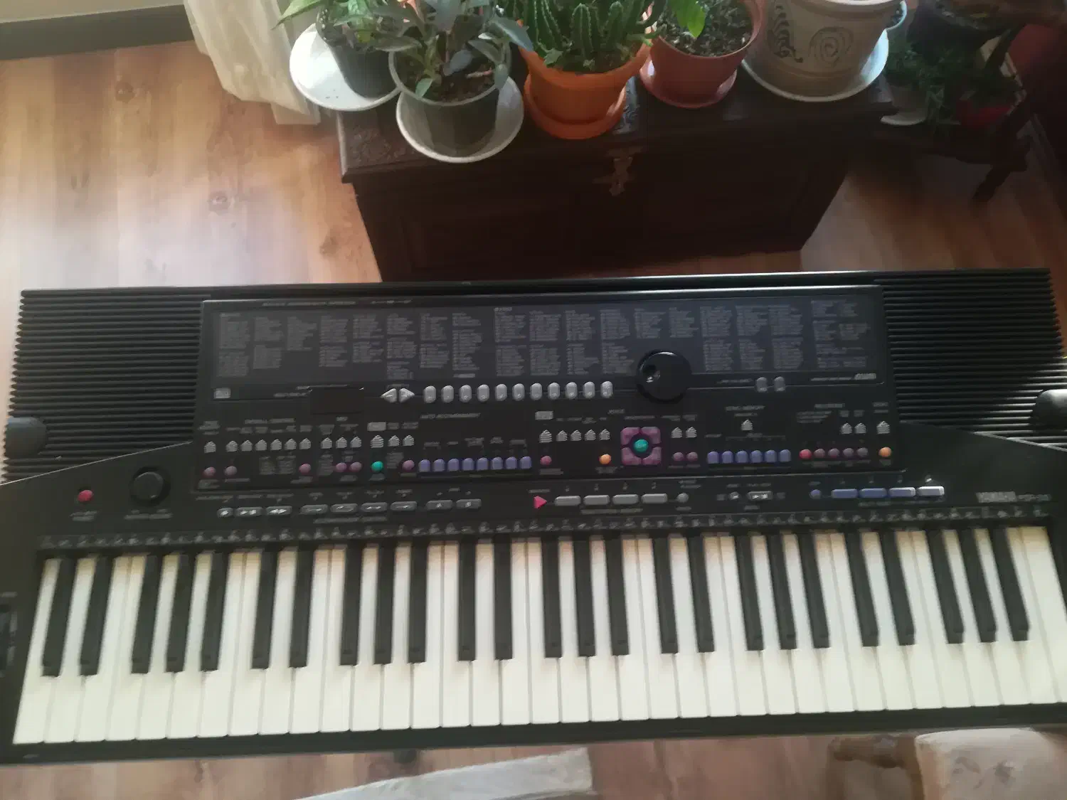 ارگ یاماها|پیانو، کیبورد، آکاردئون|کرج, عظیمیه|دیوار