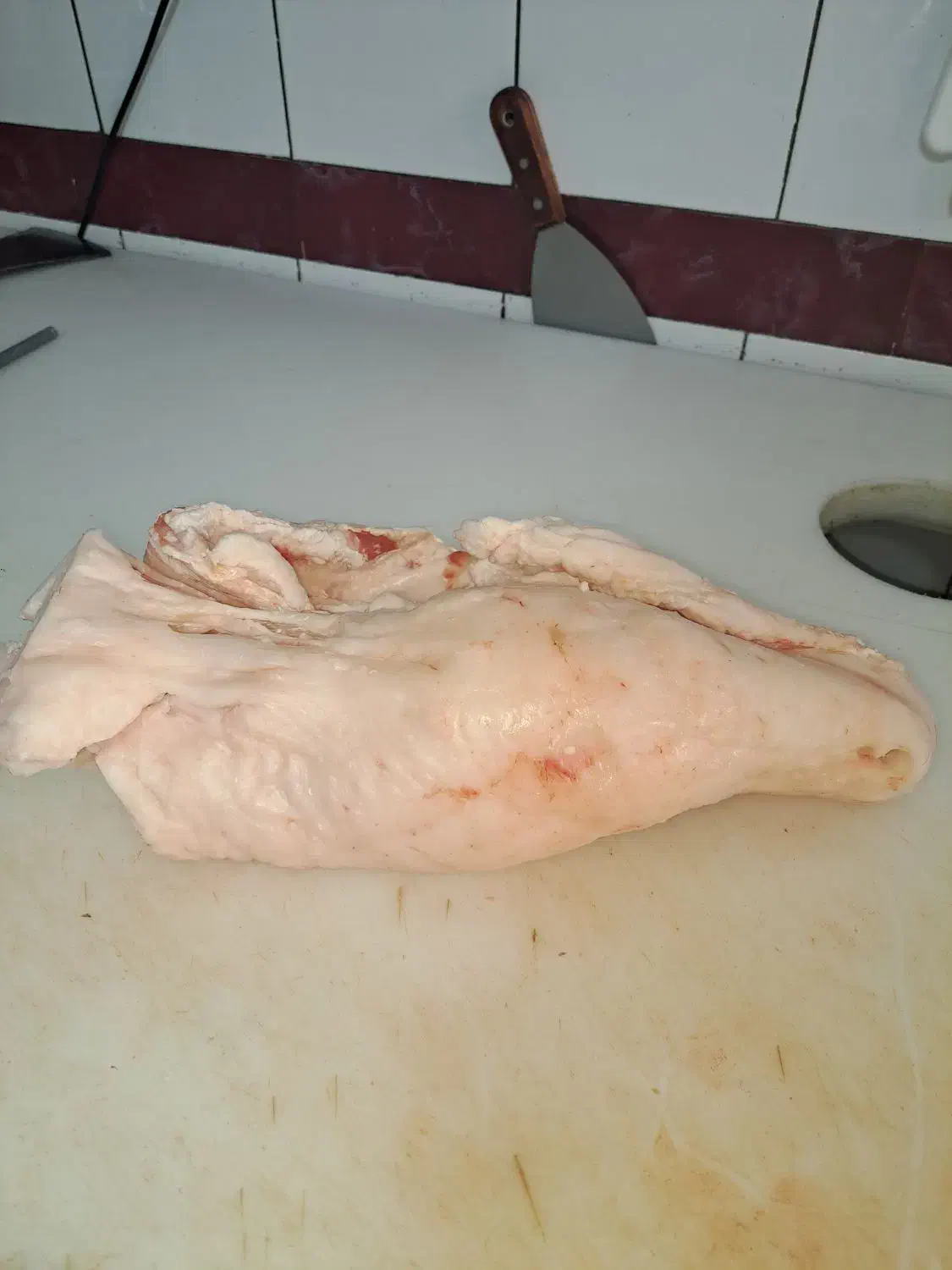 دمبه بره گرم شله بره بره پاک شده|خوردنی و آشامیدنی|شیراز, شهرک فرهنگیان|دیوار