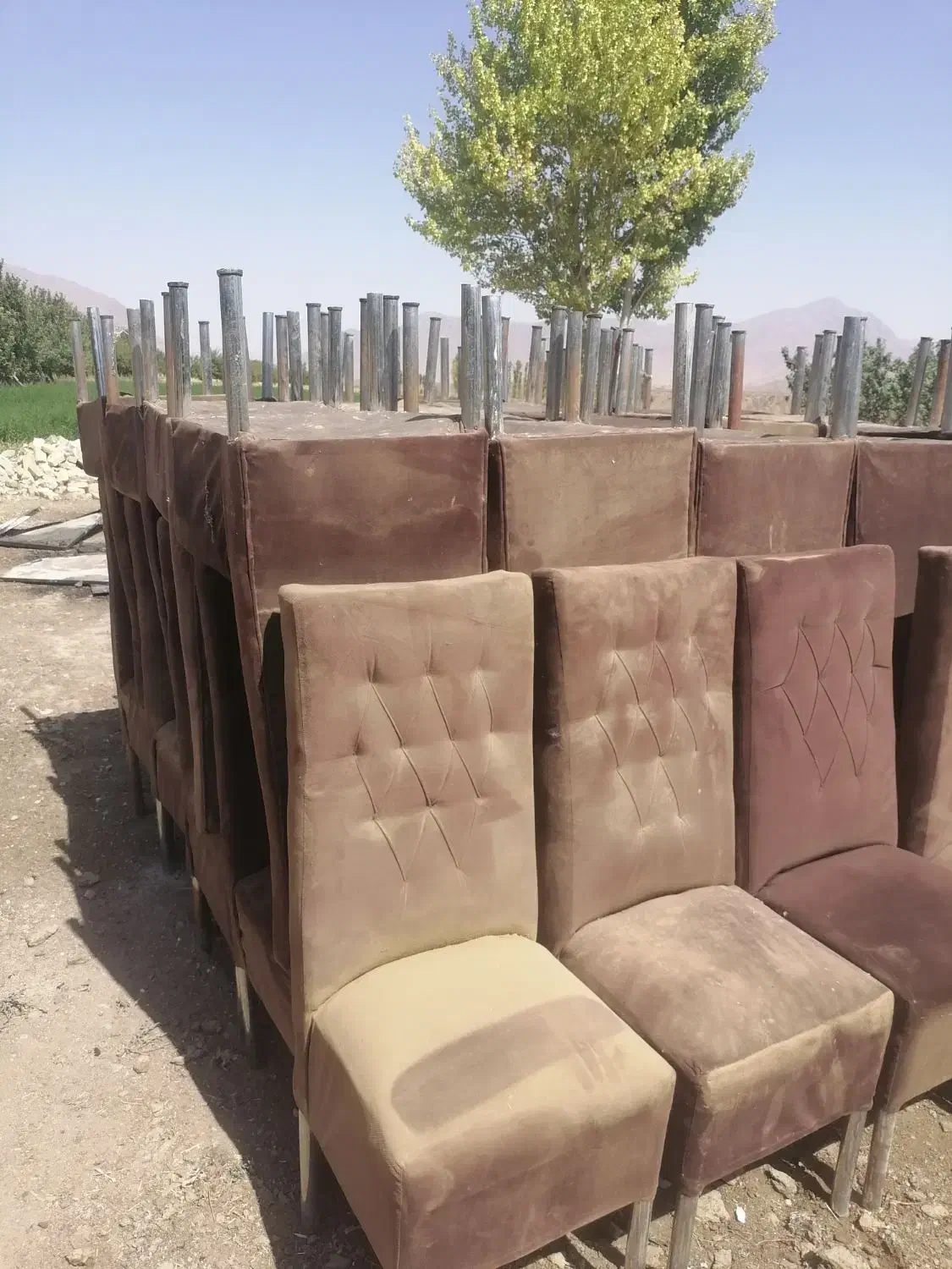 صندلی درحدنو|مبلمان اداری|شازند, |دیوار