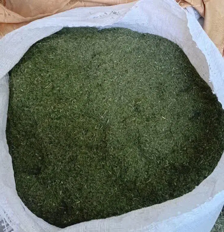 شوید|خوردنی و آشامیدنی|شیروان (لرستان), |دیوار