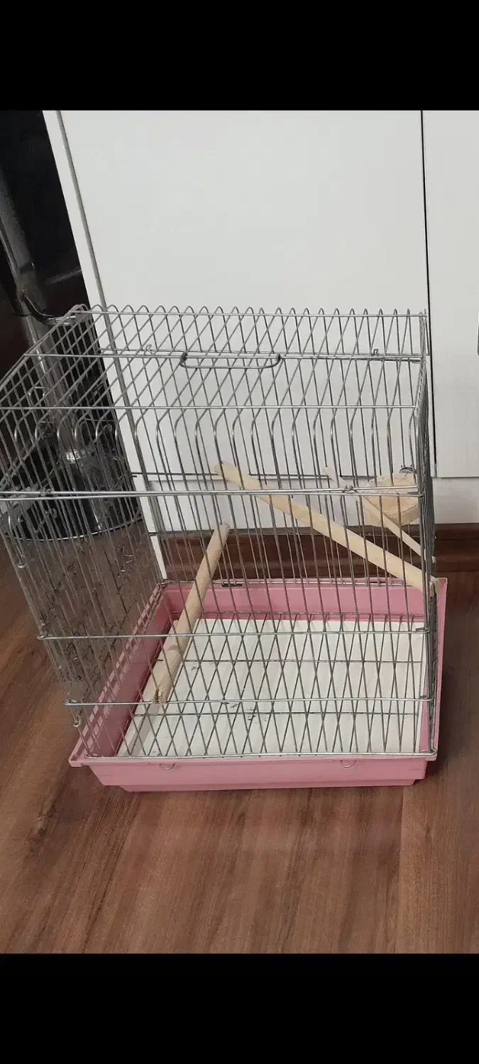 قفس عروس هلندی|لوازم جانبی حیوانات|تهران, حشمتیه|دیوار