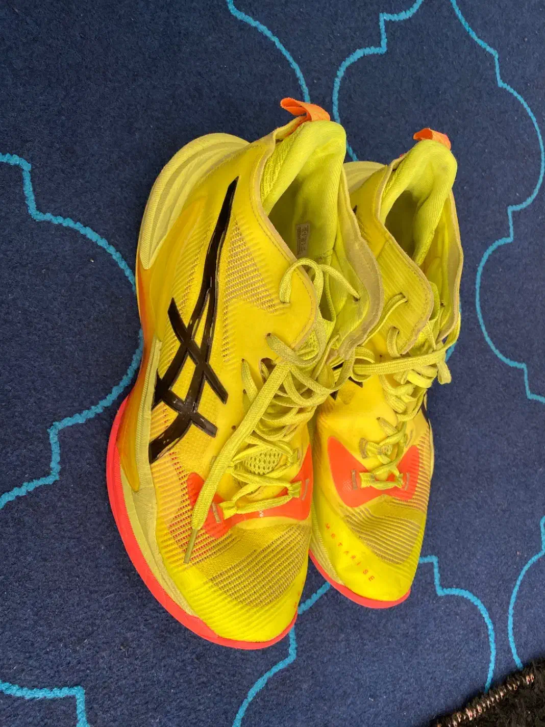 کتونی|کیف، کفش، کمربند|رامسر, |دیوار