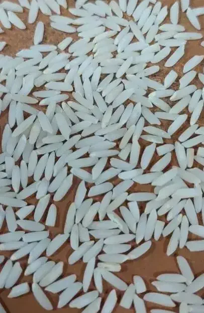 برنج.محلی.محلیه.بروچرد|خوردنی و آشامیدنی|بروجرد, |دیوار