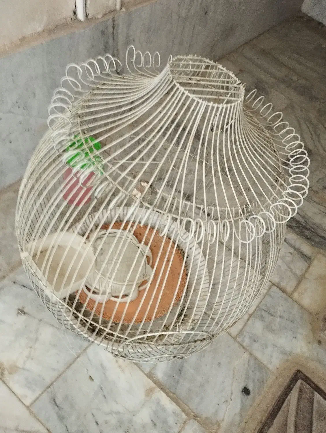 قفس پرنده|لوازم جانبی حیوانات|فریمان, |دیوار