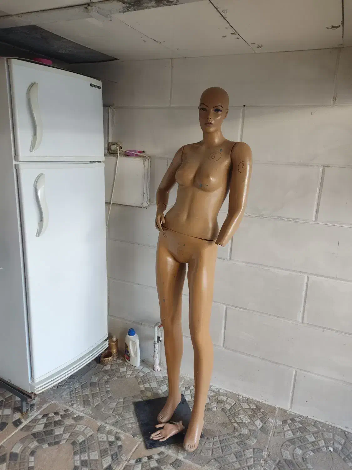 مانکن زنانه تمام تنه|فروشگاه و مغازه|روانسر, |دیوار