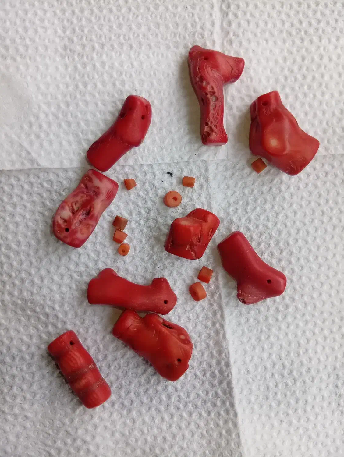 مرجان دریایی خیزران  رگه دار|جواهرات|شوش, |دیوار