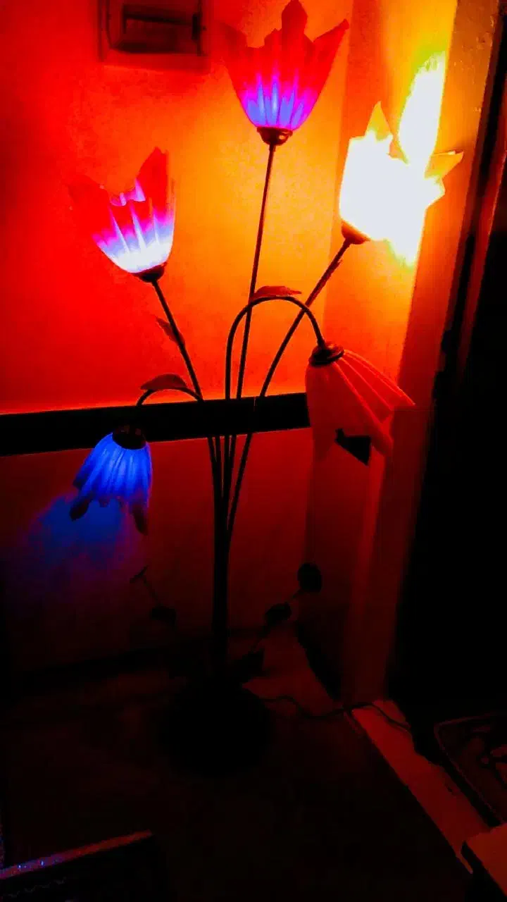 آباژور|چراغ خواب و آباژور|میاندوآب, |دیوار