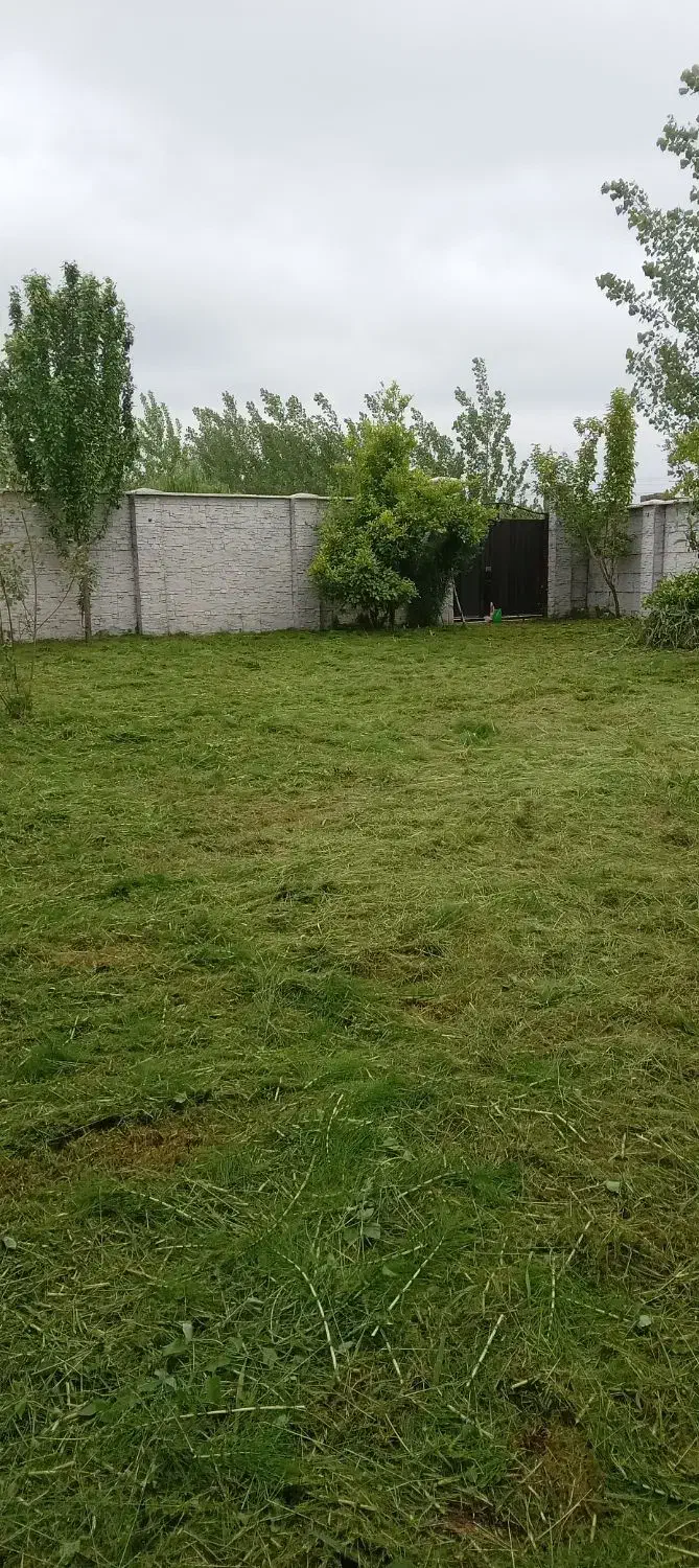 علف زنی و هرس کردن درختان با دستگاه|خدمات باغبانی و درختکاری|رشت, حومه رشت|دیوار