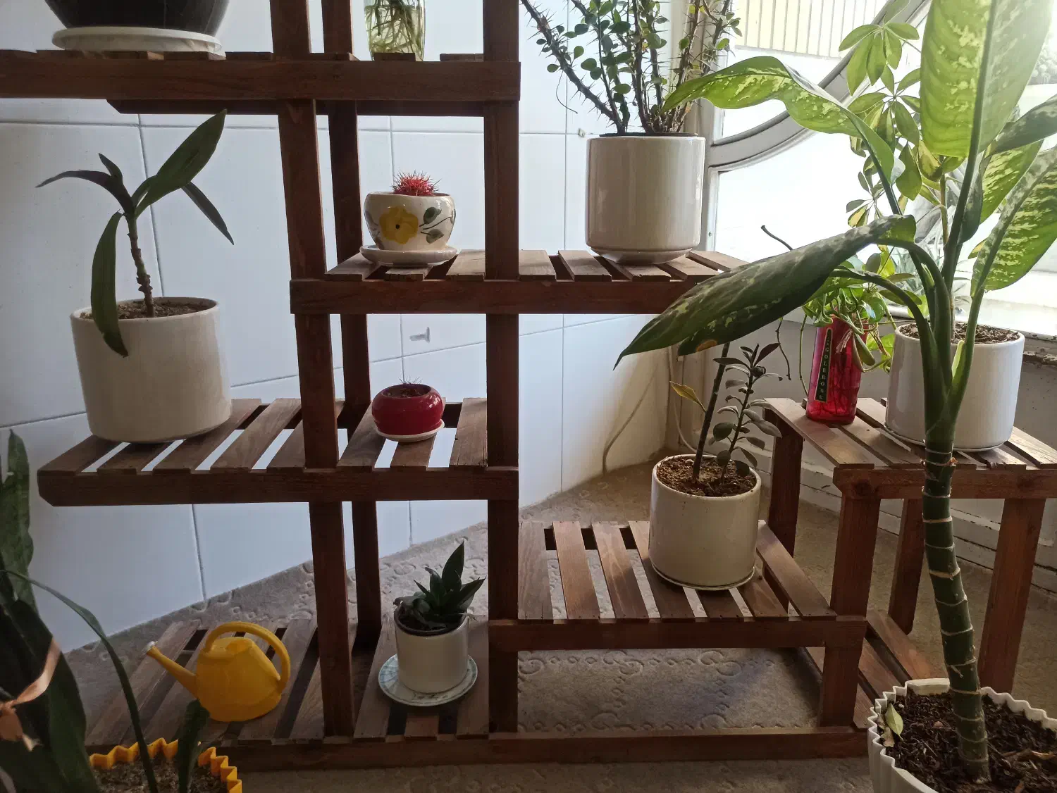 استند گل|گل و گیاه طبیعی|اصفهان, شهرک کاوه|دیوار