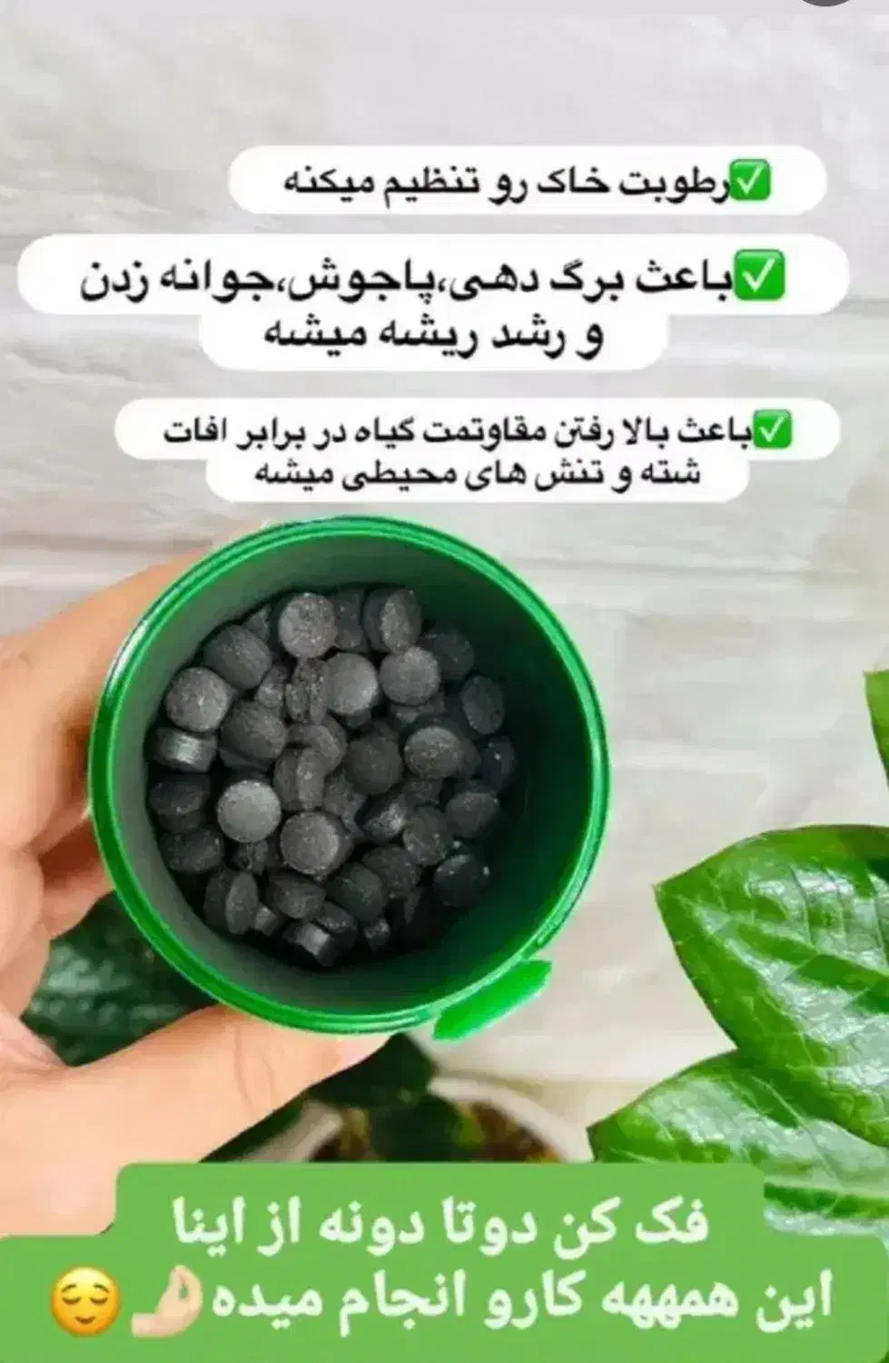 کود ارگانیک قرصی برای گلهای آپارتمانی|گل و گیاه طبیعی|گنبد کاووس, |دیوار