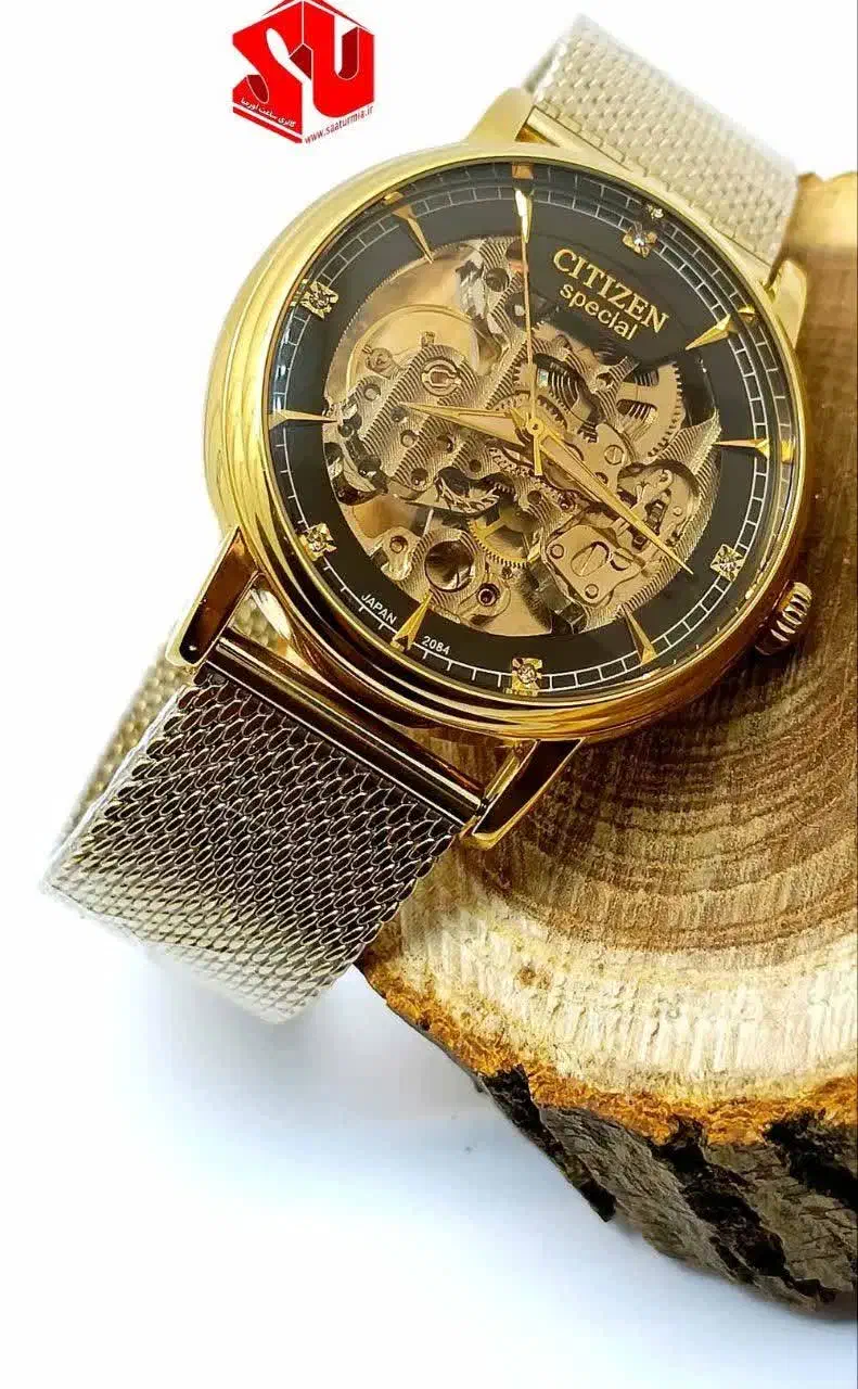 ساعت سیتیزن اسپشیال|ساعت|شیراز, شهرک ایثار|دیوار