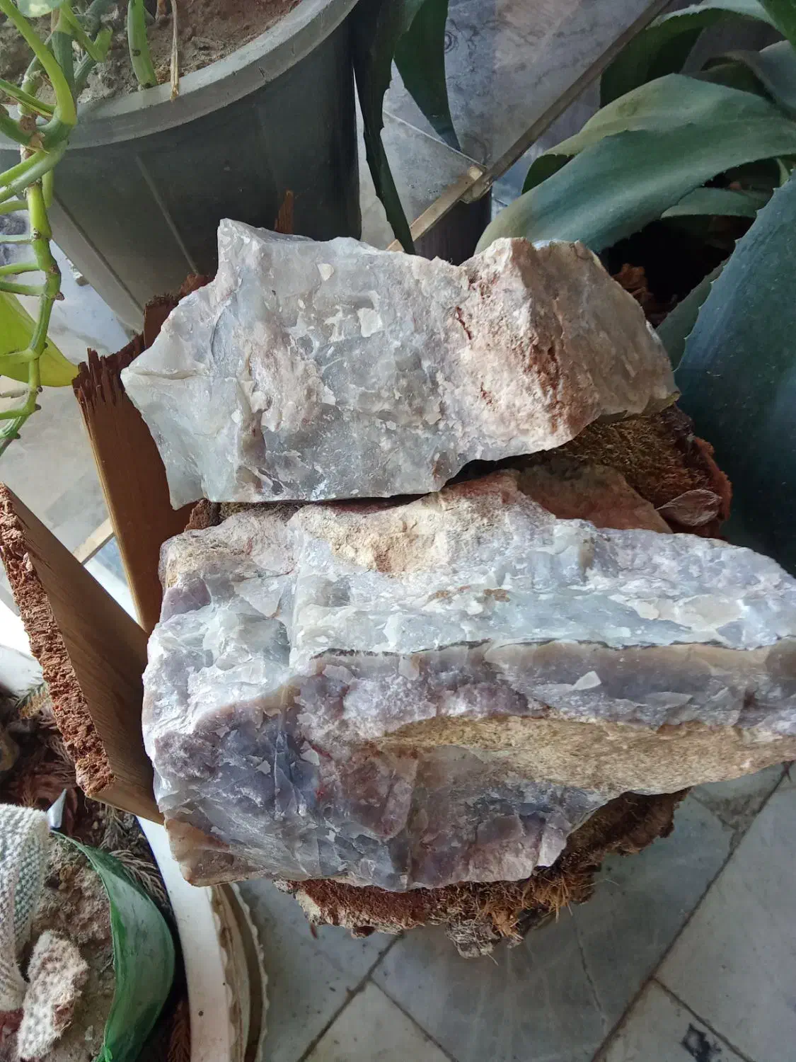 عقیق سوسنی شجر بسیار زیبا و چشم نواز راف|کلکسیون اشیاء عتیقه|هشتگرد, تهران دشت|دیوار