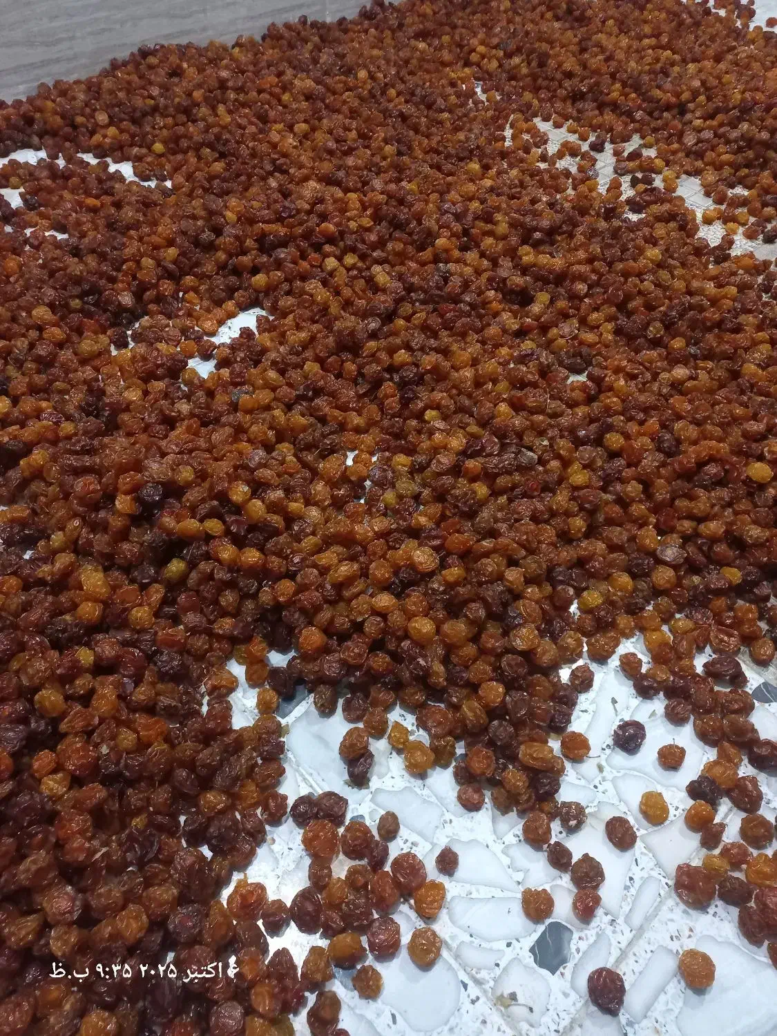 آلو خورشتی طبیعی|عمده‌فروشی|سرپل ذهاب, |دیوار