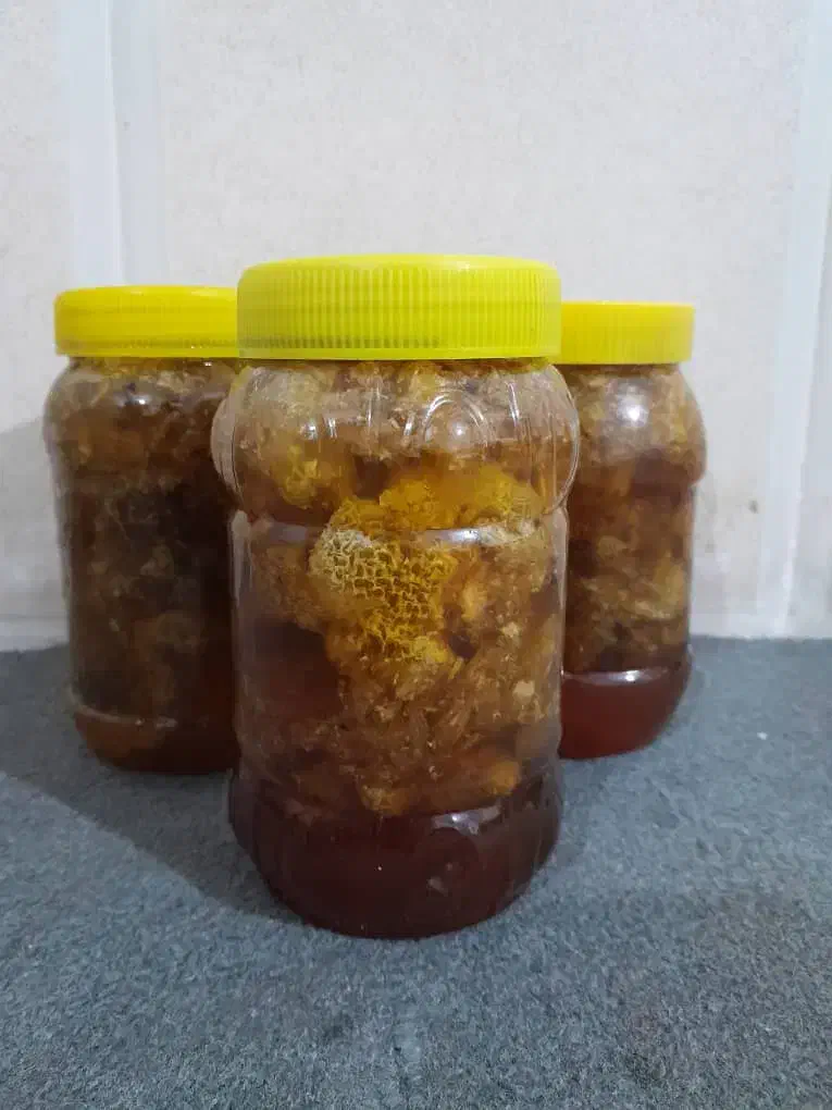 عسل کوهی|خوردنی و آشامیدنی|شیراز, رازی|دیوار