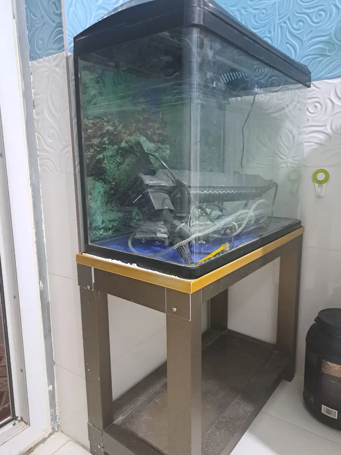 فروش یک عدد آکواریوم|ماهی|میناب, |دیوار