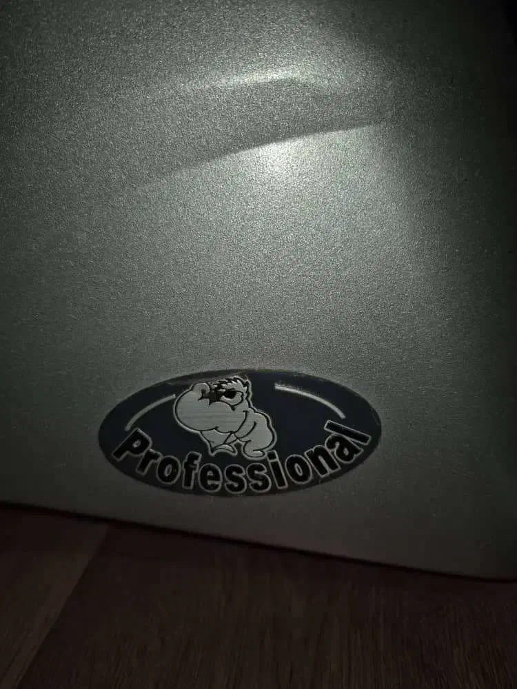 دوچرخه ثابت|تجهیزات ورزشی|شیراز, ارم|دیوار