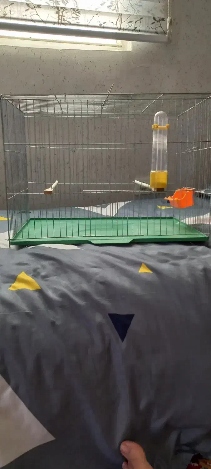قفسه قناری|لوازم جانبی حیوانات|کرج, عظیمیه|دیوار