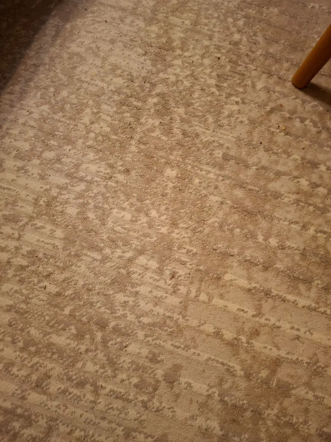 فرش|فرش|تهران, تهرانپارس غربی|دیوار