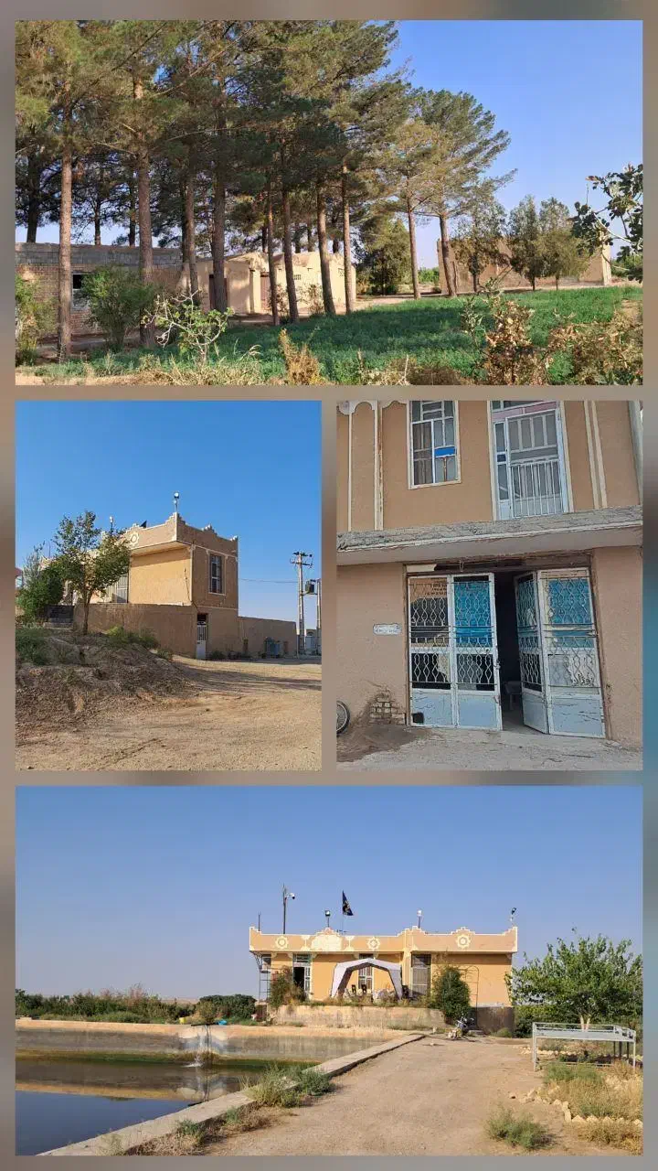 فروش مزرعه 42 هکتاری زیر قیمت کارشناسی دادگستری|فروش زمین و ملک کلنگی|ابرکوه, |دیوار