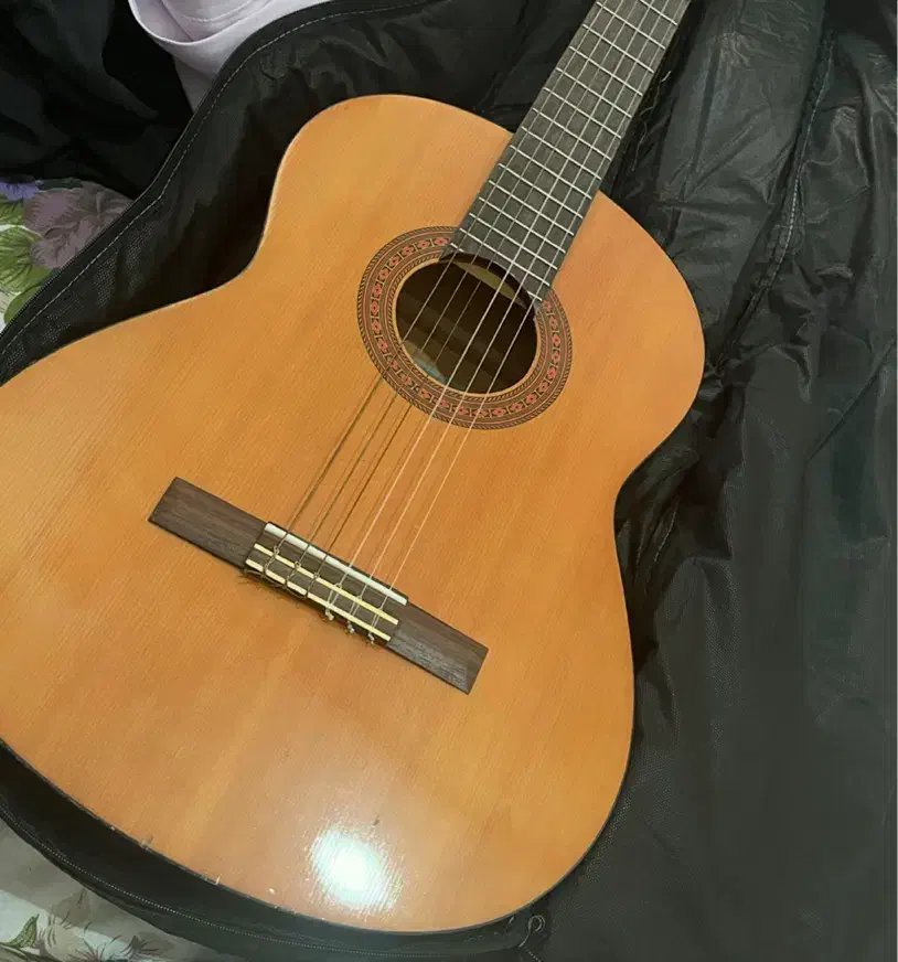 گیتار|گیتار، بیس، امپلیفایر|آمل, |دیوار