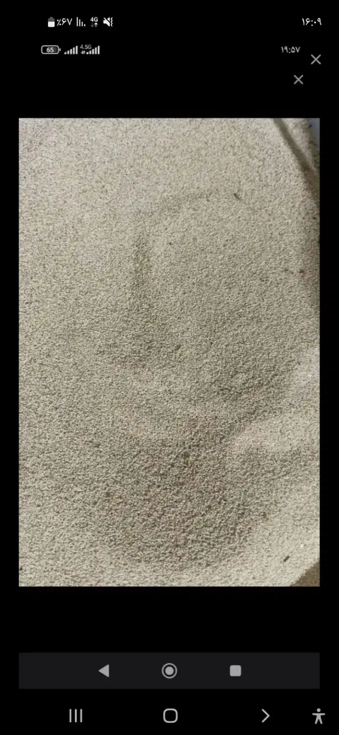 بذر گل تمیزو الک شده|گل و گیاه طبیعی|کوهدشت, |دیوار