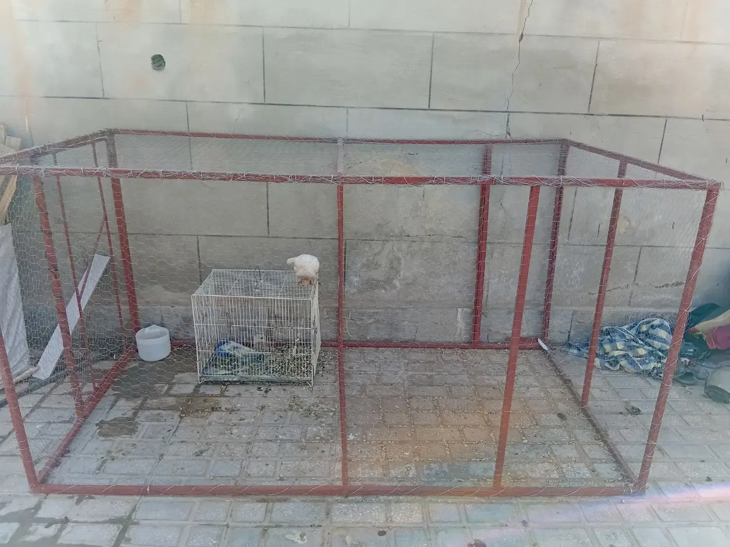 قفس فروشی|لوازم جانبی حیوانات|فردوس (خراسان), |دیوار