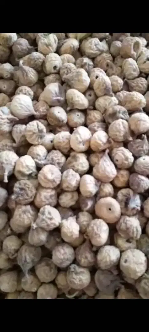 انجیر استهبان|خوردنی و آشامیدنی|شیراز, فضل‌آباد|دیوار