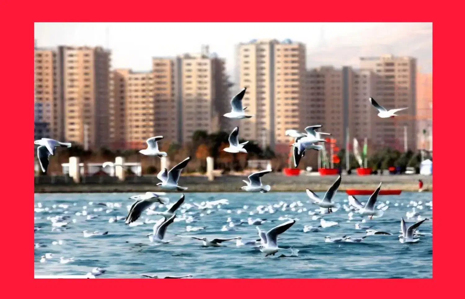 ورود به بازار ملک گران نیست/۳۵ متری غرب ایرانمال|پیش‌فروش املاک|تهران, شهرک دانشگاه شریف|دیوار