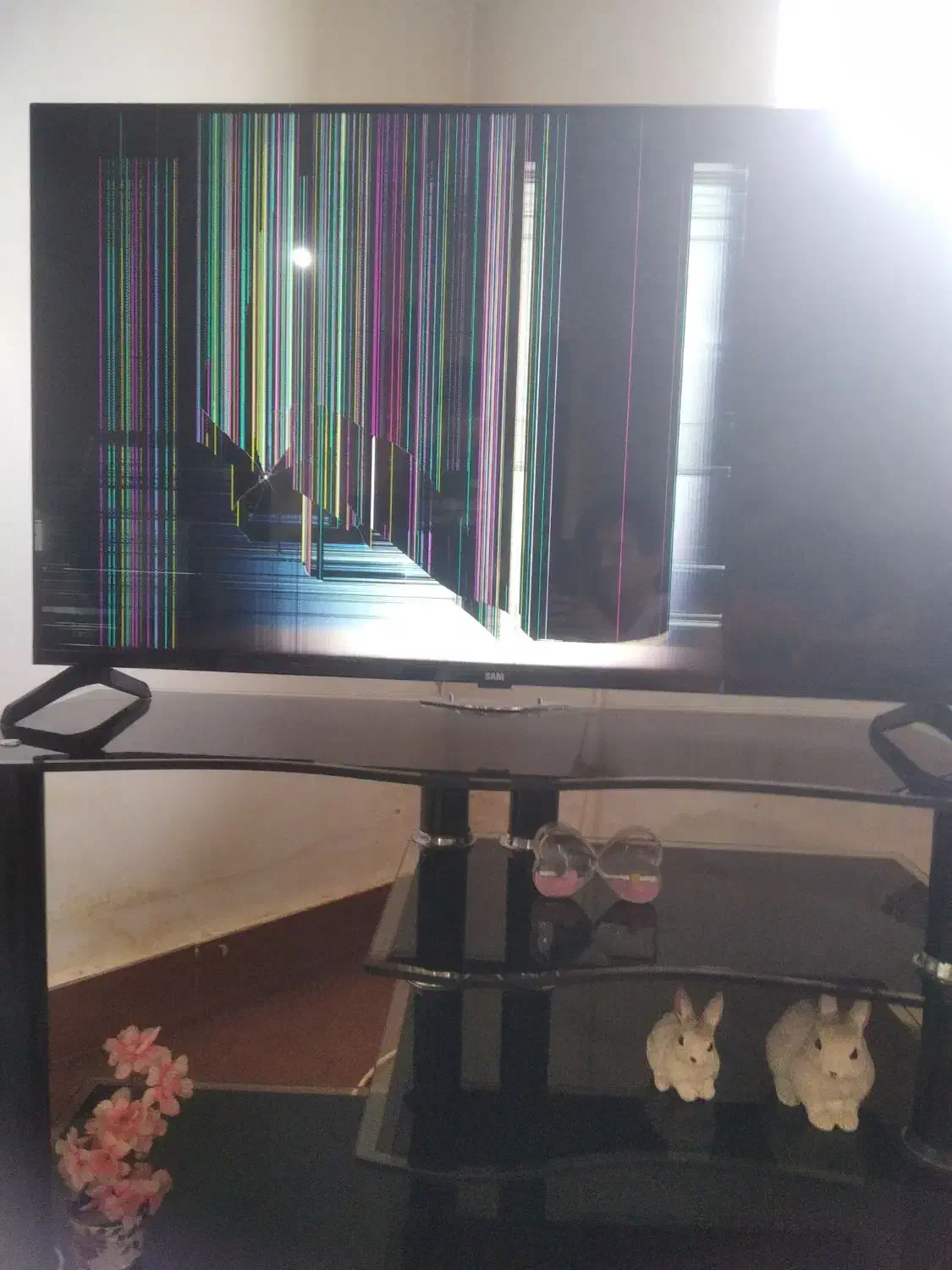 تلویزیون|تلویزیون و پروژکتور|شاهین دژ, |دیوار