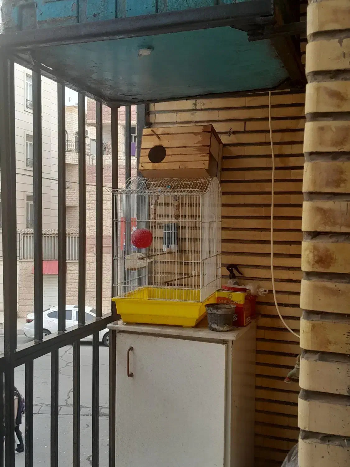 قفس پرنده|لوازم جانبی حیوانات|فردیس, ثابتی|دیوار