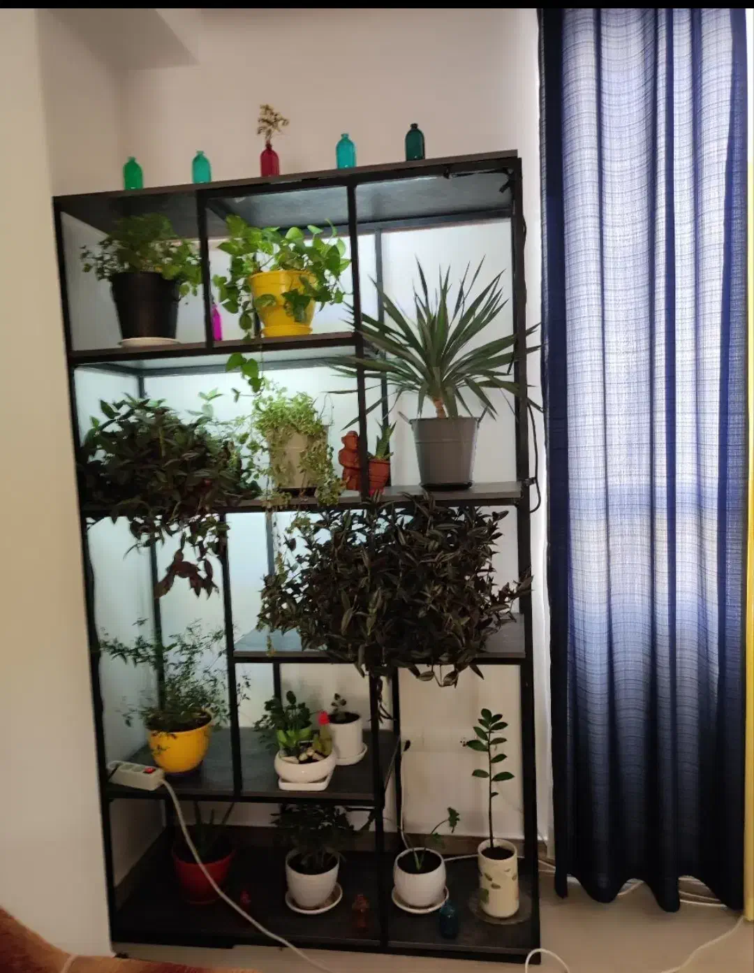 استند گل|کتابخانه، شلف، قفسه‌های دیواری|کرج, گلستان|دیوار