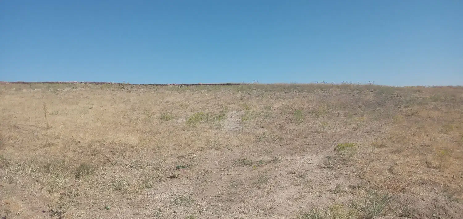 زمین زراعی|فروش دفتر صنعتی، کشاورزی، تجاری|تیکمه داش, |دیوار