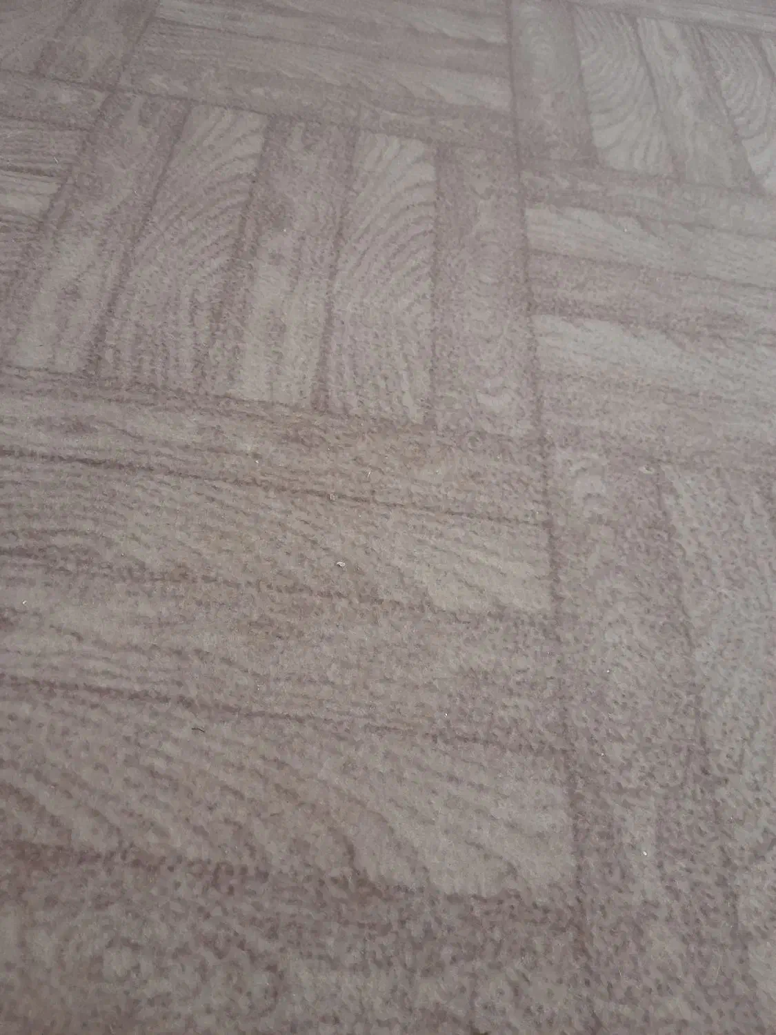 موکت طرح کاشی بدون سوختگی|موکت|گنبد کاووس, |دیوار