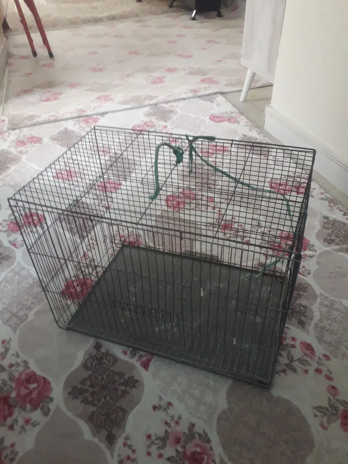 قفس پرنده|لوازم جانبی حیوانات|فردیس, شهرک شهید حسینی|دیوار