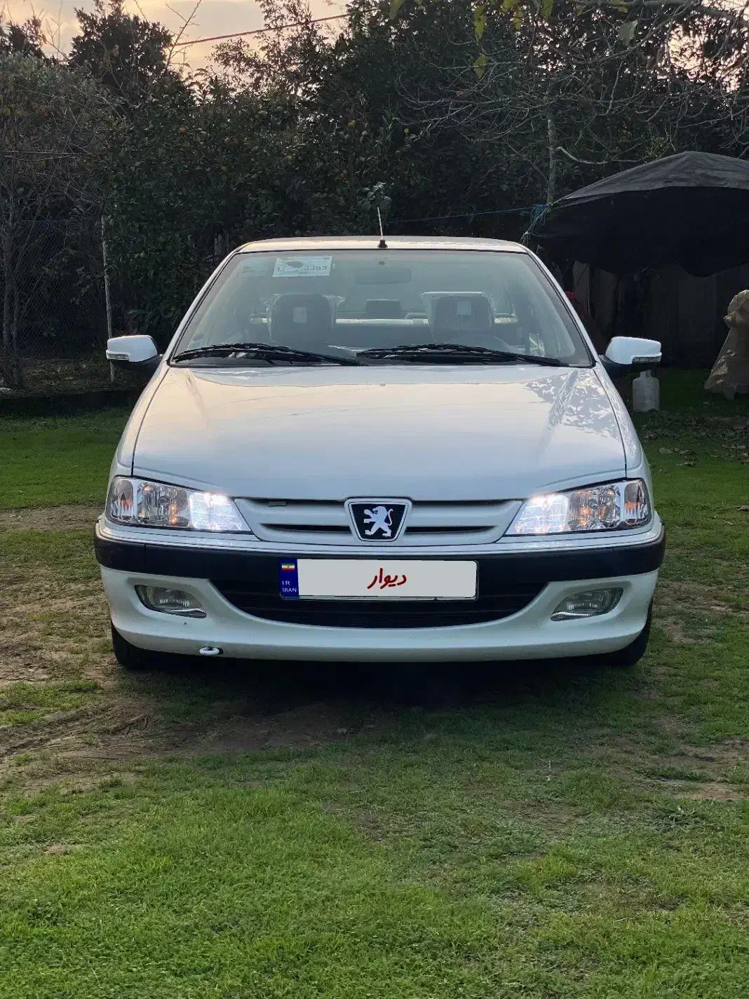 پژوپارس سال درحدنو مدل ۹۹|خودرو سواری و وانت|رشت, پل تالشان|دیوار